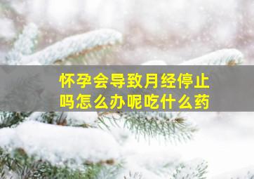 怀孕会导致月经停止吗怎么办呢吃什么药