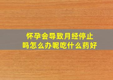 怀孕会导致月经停止吗怎么办呢吃什么药好