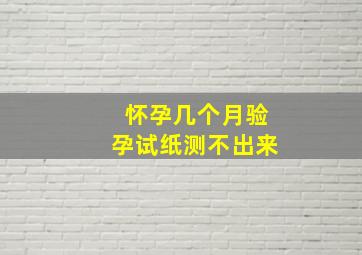 怀孕几个月验孕试纸测不出来