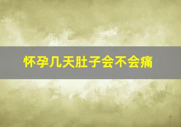 怀孕几天肚子会不会痛