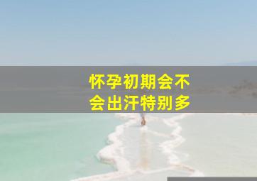 怀孕初期会不会出汗特别多