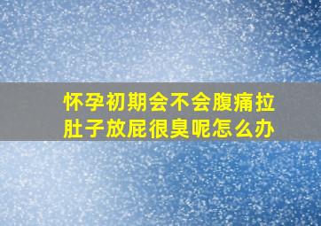 怀孕初期会不会腹痛拉肚子放屁很臭呢怎么办