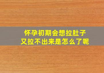 怀孕初期会想拉肚子又拉不出来是怎么了呢