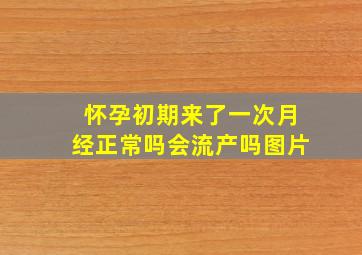 怀孕初期来了一次月经正常吗会流产吗图片