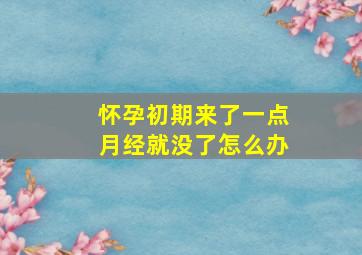 怀孕初期来了一点月经就没了怎么办