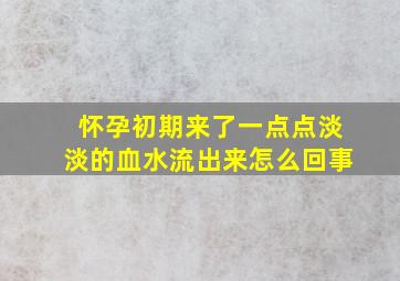 怀孕初期来了一点点淡淡的血水流出来怎么回事