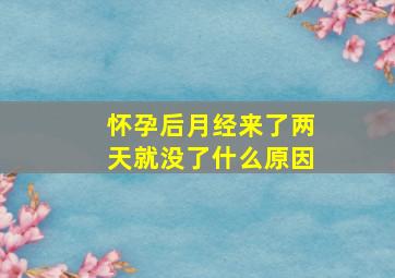 怀孕后月经来了两天就没了什么原因