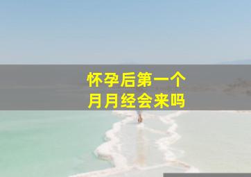 怀孕后第一个月月经会来吗