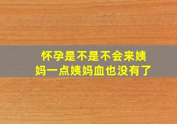 怀孕是不是不会来姨妈一点姨妈血也没有了