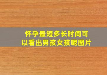 怀孕最短多长时间可以看出男孩女孩呢图片