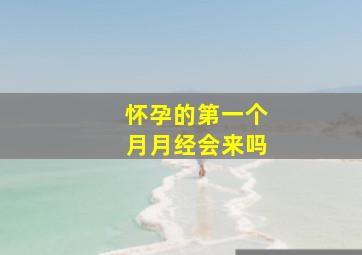 怀孕的第一个月月经会来吗