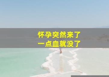 怀孕突然来了一点血就没了