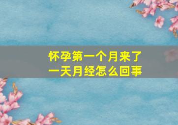 怀孕第一个月来了一天月经怎么回事