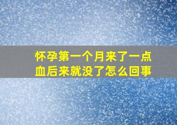 怀孕第一个月来了一点血后来就没了怎么回事