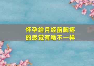 怀孕给月经前胸疼的感觉有啥不一样