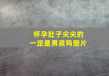 怀孕肚子尖尖的一定是男孩吗图片