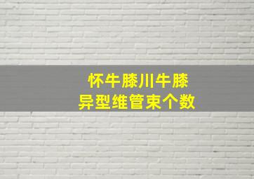 怀牛膝川牛膝异型维管束个数