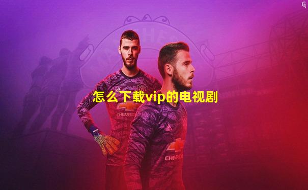 怎么下载vip的电视剧