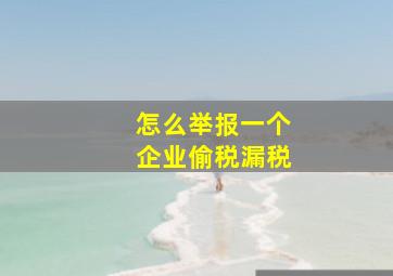 怎么举报一个企业偷税漏税