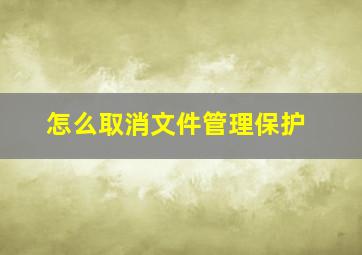 怎么取消文件管理保护