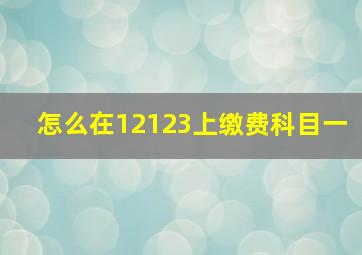 怎么在12123上缴费科目一