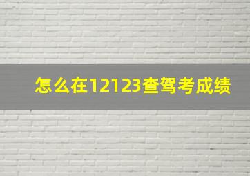 怎么在12123查驾考成绩