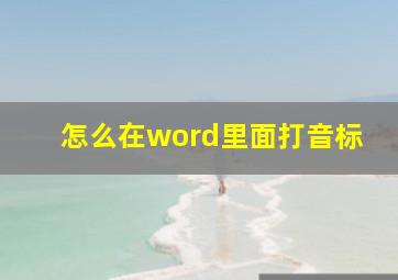 怎么在word里面打音标