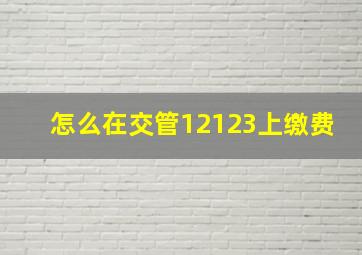 怎么在交管12123上缴费