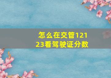 怎么在交管12123看驾驶证分数