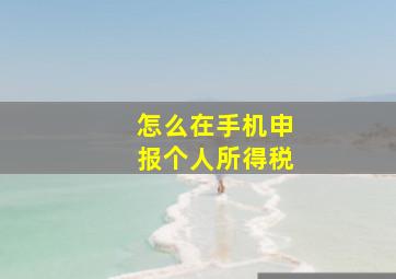 怎么在手机申报个人所得税