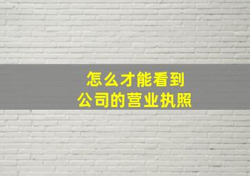 怎么才能看到公司的营业执照