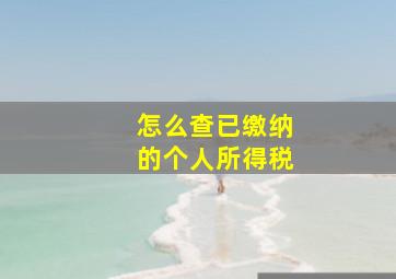 怎么查已缴纳的个人所得税