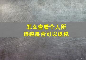 怎么查看个人所得税是否可以退税