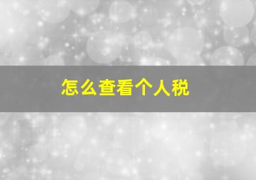 怎么查看个人税