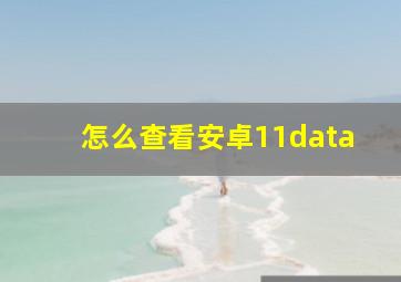 怎么查看安卓11data