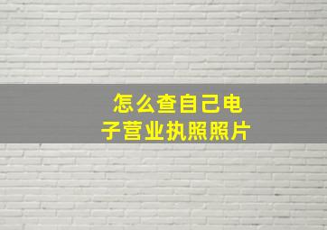 怎么查自己电子营业执照照片