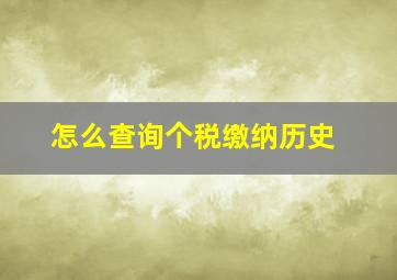 怎么查询个税缴纳历史