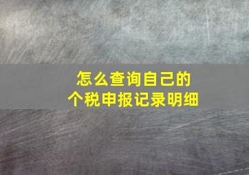 怎么查询自己的个税申报记录明细