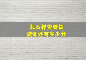 怎么样查看驾驶证还有多少分