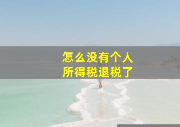 怎么没有个人所得税退税了