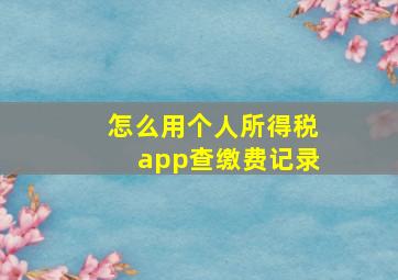 怎么用个人所得税app查缴费记录