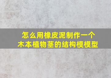 怎么用橡皮泥制作一个木本植物茎的结构模模型