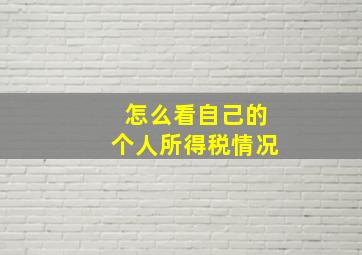 怎么看自己的个人所得税情况