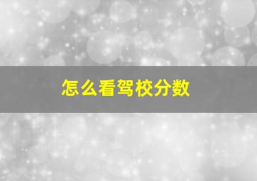 怎么看驾校分数