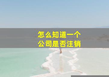 怎么知道一个公司是否注销