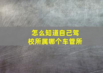 怎么知道自己驾校所属哪个车管所