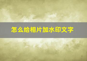 怎么给相片加水印文字