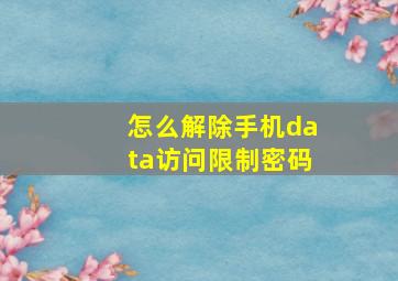 怎么解除手机data访问限制密码