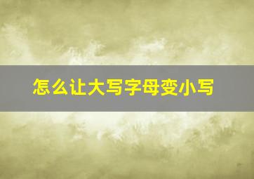 怎么让大写字母变小写