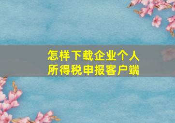 怎样下载企业个人所得税申报客户端